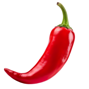 chilischote in rot für das maccachili café in saarbruecken für studenten